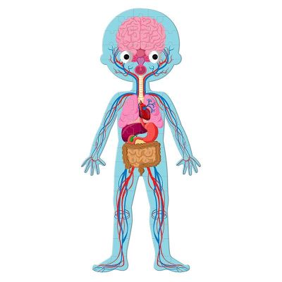 Puzle Educativo Cuerpo Humano de Janod | TukiToy